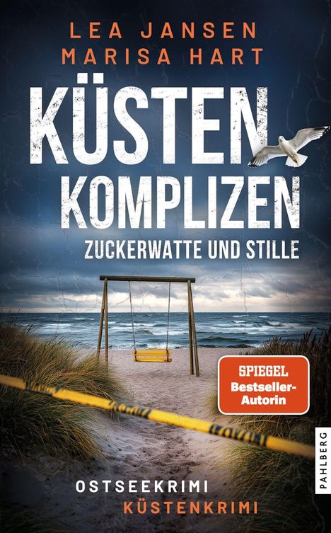 "Küstenkomplizen: Zuckerwatte und Stille" zeigt eine Schaukel an einem stürmischen Strand mit Möwe im Flug.