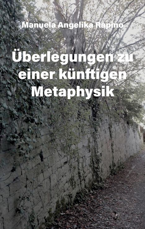 Manuela Angelika Rapino: Überlegungen zu einer künftigen Metaphysik, Buch