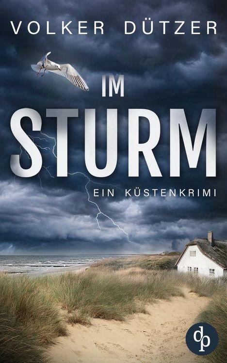 Volker Dützer: Im Sturm, Buch