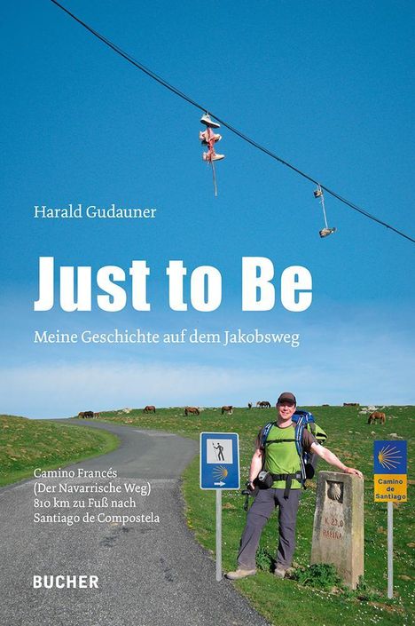 Harald Gudauner: Just to Be, Buch