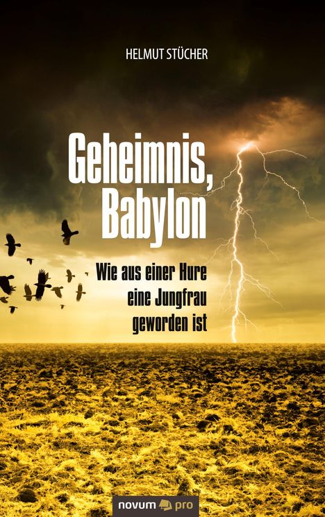 Helmut Stücher: Geheimnis, Babylon - Wie aus einer Hure eine Jungfrau geworden ist, Buch