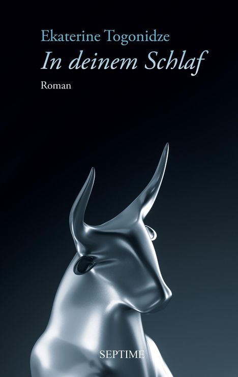 Ekaterine Togonidze: In deinem Schlaf, Buch