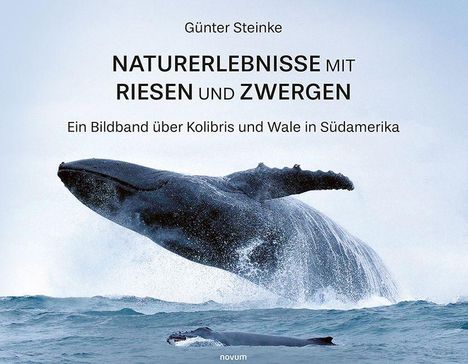 "Günter Steinke: Naturerlebnisse mit Riesen und Zwergen - Ein Bildband über Kolibris und Wale in Südamerika." Ein springender Wal.