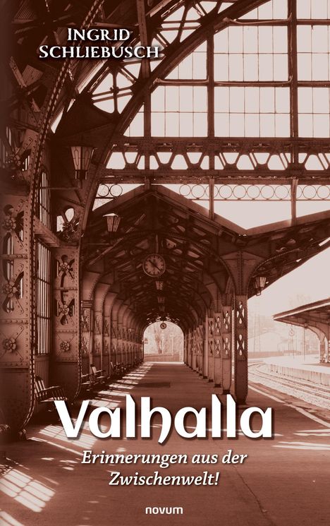 Ingrid Schliebusch: Valhalla ¿ Erinnerungen aus der Zwischenwelt!, Buch