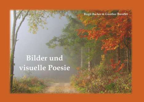 Birgit Bacher: Bilder und visuelle Poesie, Buch