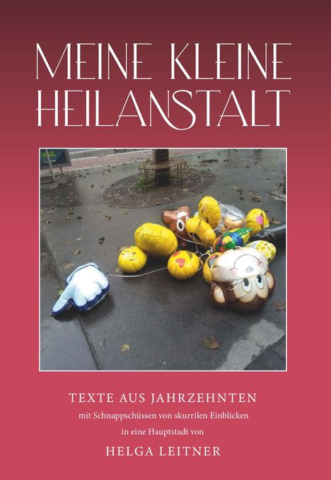 Helga Leitner: Leitner, H: MEINE KLEINE HEILANSTALT, Buch