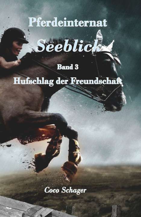 Coco Schager: Pferdeinternat Seeblick Band 3, Buch
