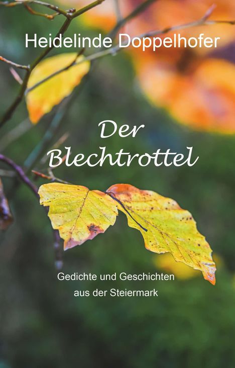 Heidelinde Doppelhofer: Der Blechtrottel, Buch