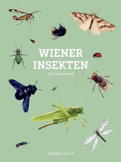"Wiener Insekten, 15 Postkarten" auf grünem Hintergrund mit Illustrationen verschiedener Insekten, darunter Motten und Käfer.