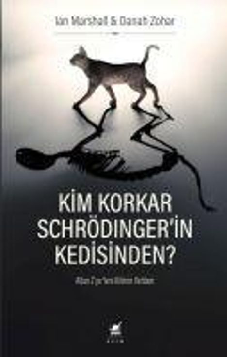 Danah Zohar: Kim Korkar Schrödingerin Kedisinden, Buch
