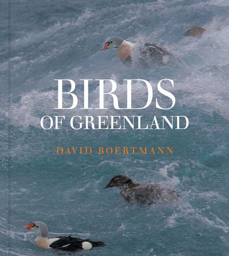 Text: "BIRDS OF GREENLAND" und "DAVID BOERTMANN". Zwei schwimmende Enten auf unruhigem Wasser.
