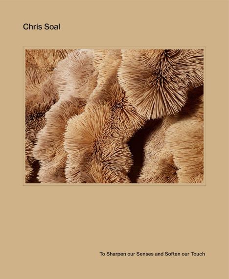 Chris Soal: Chris Soal: To Sharpen Our Senses and Soften Our Touch, Buch