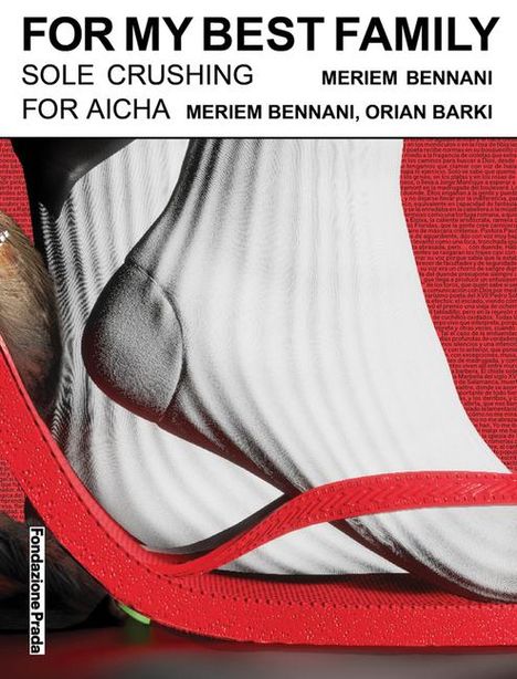 Meriem Bennani: Meriem Bennani: For My Best Family, Buch