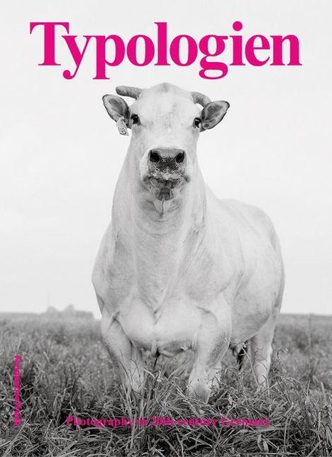 "Typologien" oben, darunter ein großer weißer Stier auf einer Wiese, frontal und eindrucksvoll inszeniert.