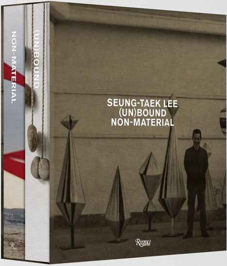 Gerardo Mosquera: Seung-Taek Lee, Diverse