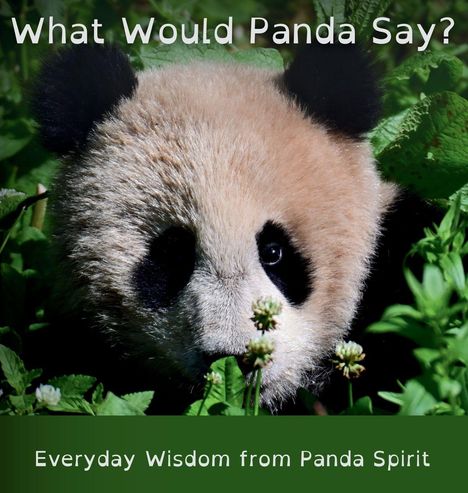 Q. Grinsven: What Would Panda Say?, Buch