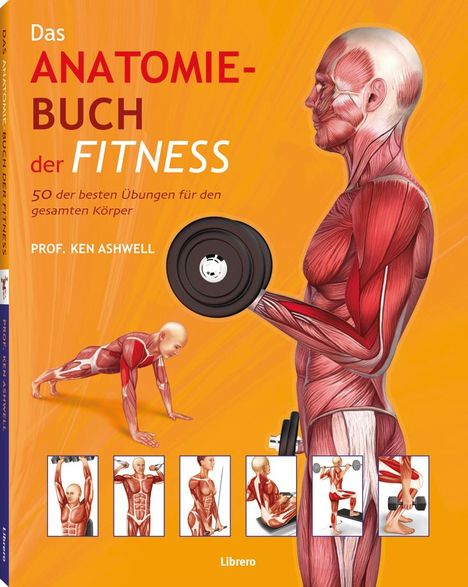 Ken Ashwell: Das Anatomie-Buch der Fitness, Buch