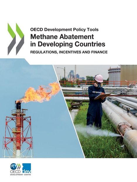 Oecd: Methane Abatement in Developing Countries, Buch