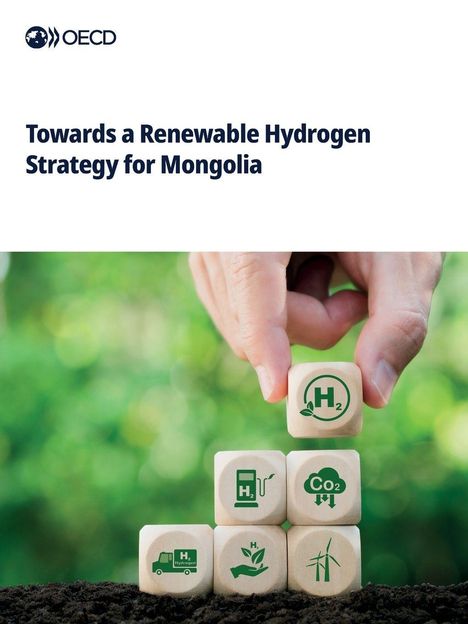 Oecd: Towards a Renewable Hydrogen Strategy for Mongolia, Buch