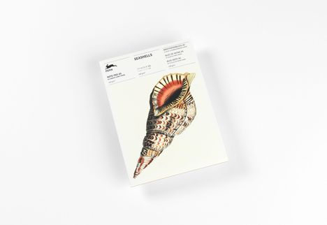 Notizblock A5, 120g/m² Papier, Design: Muscheln. Illustration einer detaillierten, bunten Muschel.