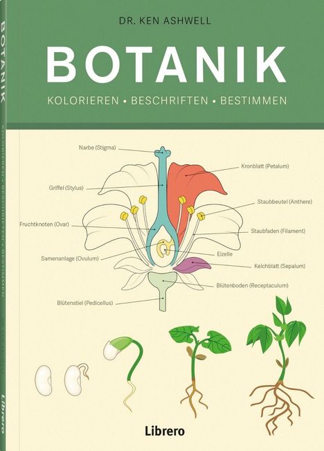 Titel: "Botanik: Kolorieren, Beschriften, Bestimmen". Illustration einer Blume mit beschrifteten Teilen. Darunter Pflanzenstadien.