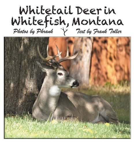 Frank Toller: Whitetail Deer in Whitefish, Montana, Buch