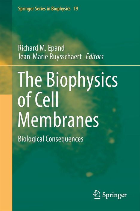 Frontalansicht eines grünen Buchcovers mit gelbem Rand. Oben steht "Springer Series in Biophysics 19".