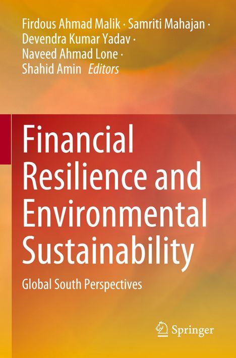 Titel: Financial Resilience and Environmental Sustainability. Orange Hintergrund mit weißen Texten und Springer-Logo.