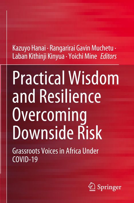 Buchtitel: "Practical Wisdom and Resilience Overcoming Downside Risk". Autoren: Kazuyo Hanai und andere. Springer-Logo.