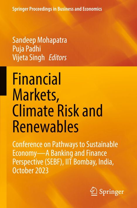Text: "Financial Markets, Climate Risk and Renewables". Orange Hintergrund mit geometrischem Muster, Springer-Logo.