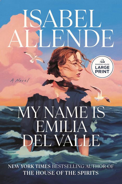 Text: My Name is Emilia Del Valle. Eine Frau steht am Meer. Möwen fliegen; im Hintergrund, rosa Wolken und blauer Himmel.