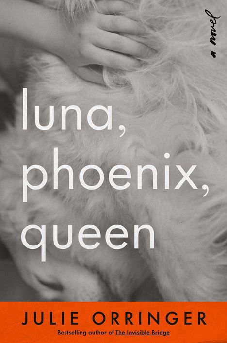 Text: "luna, phoenix, queen", "JULIE ORRINGER", "Bestselling author of The Invisible Bridge". Eine Hand streicht über weißes Fell.