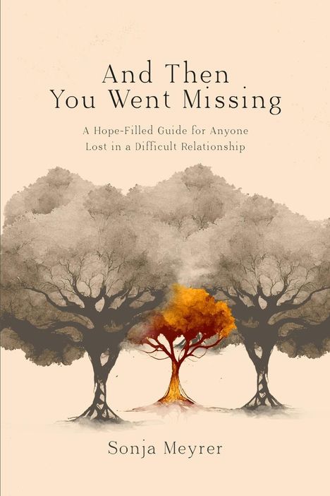 Sonja C Meyrer: And Then You Went Missing, Buch