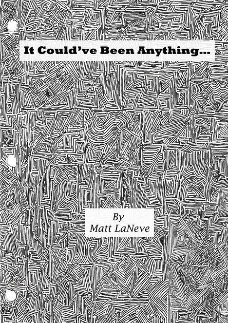 Matt Laneve: It Could've Been Anything..., Buch
