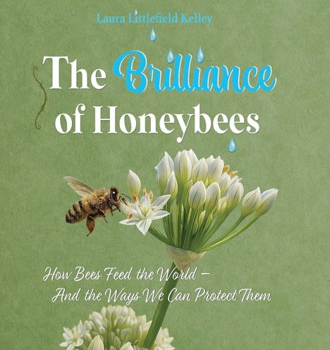 "The Brilliance of Honeybees" und "How Bees Feed the World – And the Ways We Can Protect Them". Eine Biene auf einer Blüte.
