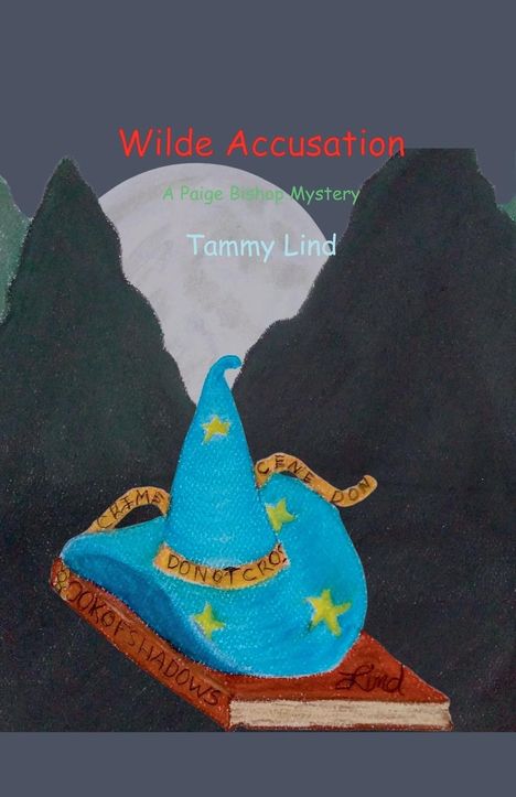 Tammy Lind: Wilde Accusation, Buch
