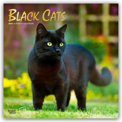 Browntrout Publishers: Black Cats - Schwarze Katzen 2026 - 16-Monatskalender, Kalender