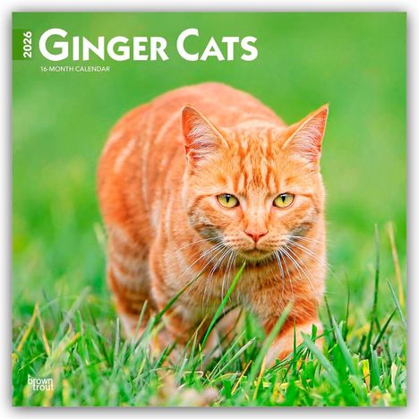 Browntrout Publishers: Ginger Cats - Gingerkatzen - Rote Katzen 2026 - 16-Monatskalender, Kalender