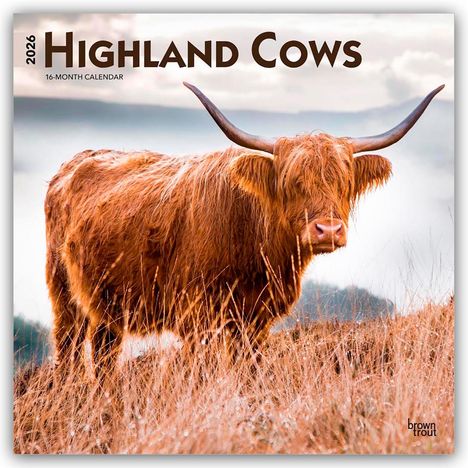 Browntrout Publishers: Highland Cows - Hochlandrinder 2026 - 16-Monatskalender, Kalender