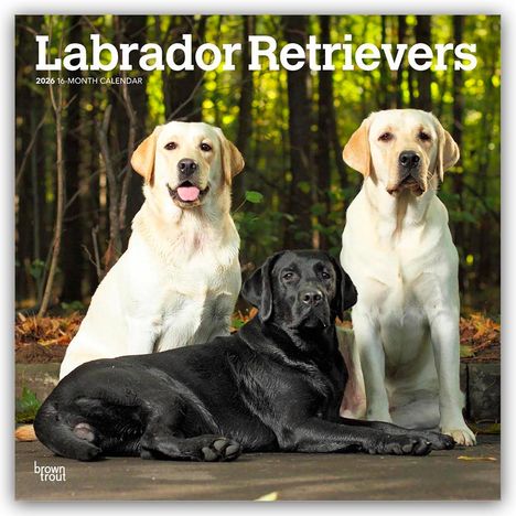 Browntrout Publishers: Labrador Retrievers - Labrador Retriever 2026 - 16-Monatskalender, Kalender
