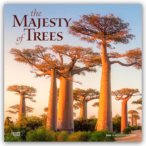 Browntrout Publishers: The Majesty of Trees - Die Erhabenheit der Bäume 2026 - 16-Monatskalender, Kalender