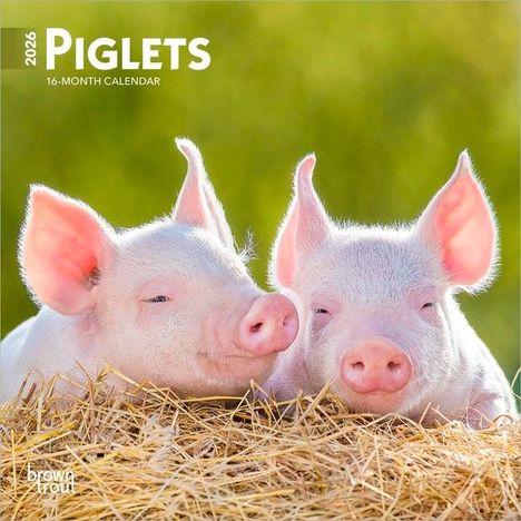 Browntrout: Piglets 2026 7 X 14 Inch (Hanging) Monthly Mini Wall Calendar, Kalender