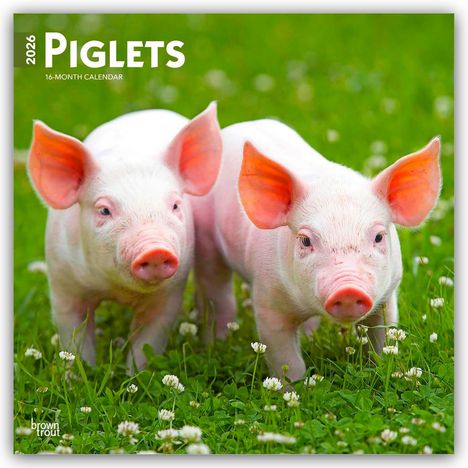 Browntrout Publishers: Piglets - Ferkel 2026 - 16-Monatskalender, Kalender