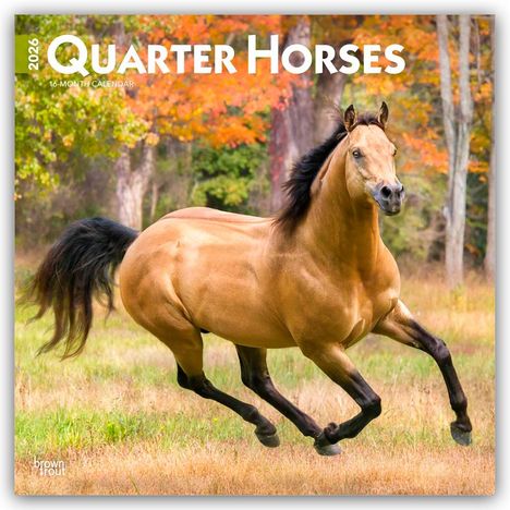 Browntrout Publishers: Quarter Horses - Quarter Horse 2026 - 16-Monatskalender, Kalender