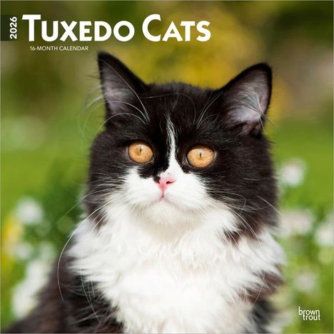 Browntrout Publishers: Tuxedo Cats - Tuxedo Katzen 2026 - 16-Monatskalender, Kalender