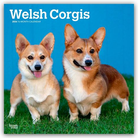 Browntrout Publishers: Welsh Corgis - Welsh Corgi 2026 - 16-Monatskalender, Kalender