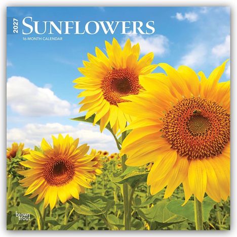 Text: "2027 SUNFLOWERS 16-MONTH CALENDAR". Drei leuchtend gelbe Sonnenblumen unter blauem Himmel mit Wolken.