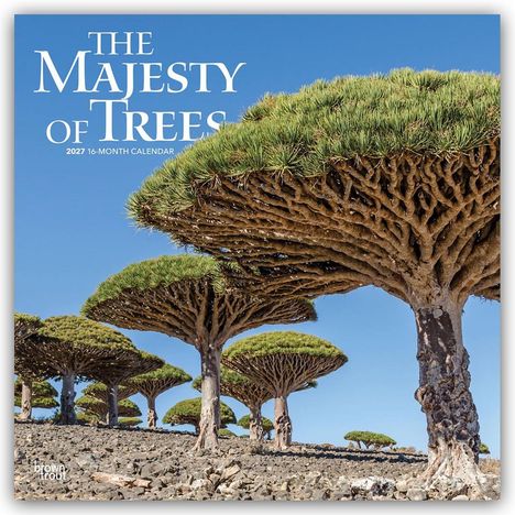 Text: "The Majesty of Trees, 2027 16-Month Calendar." Drachenbäume mit dicken Stämmen und breiten, schirmartigen Kronen.