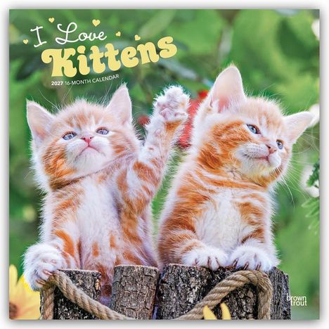 Text: "I Love Kittens", "2027 16-Month Calendar". Zwei süße orange-weiße Kätzchen auf Baumstämmen, eines hebt die Pfote.