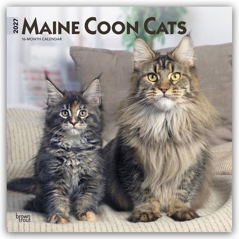 "2027 Maine Coon Cats, 16-Month Calendar." Zwei Maine Coon Katzen, eine erwachsen, eine jung, sitzen nebeneinander auf einem Sofa.